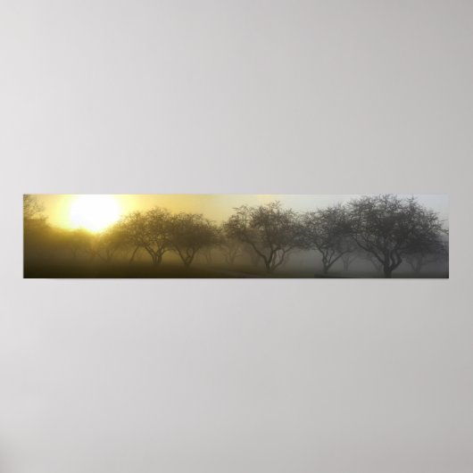 Foggy Morning Panoramic Poster (Voorkant)