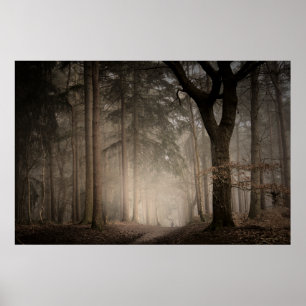 Foggy Morning Rushmere Country Park (0851) Poster