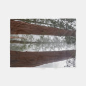 Foggy Morning & Spring Snow under Giant Sequoia Fleece Deken (Voorkant (Horizontaal))