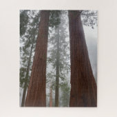 Foggy Morning & Spring Snow under Giant Sequoia Legpuzzel (Verticaal)