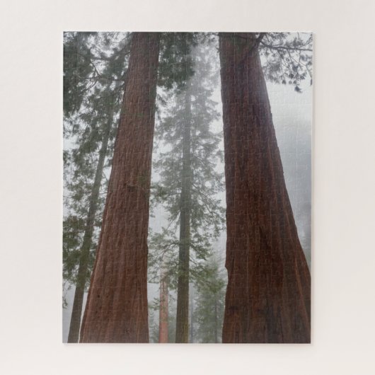 Foggy Morning & Spring Snow under Giant Sequoia Legpuzzel (Verticaal)
