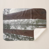 Foggy Morning & Spring Snow under Giant Sequoia Sherpa Deken (Voorkant (horizontaal))
