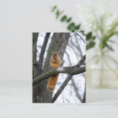 Foggy Morning Squirrel Briefkaart (Staand voorkant)