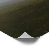 Foggy Morning Tree Poster (Hoek)