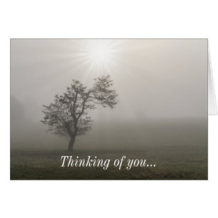 Foggy Starburst Tree Paysage Pensée De Carte U