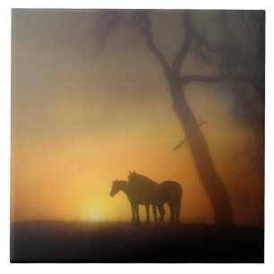 Foggy Sunrise Horses en Oaktree Tegeltje