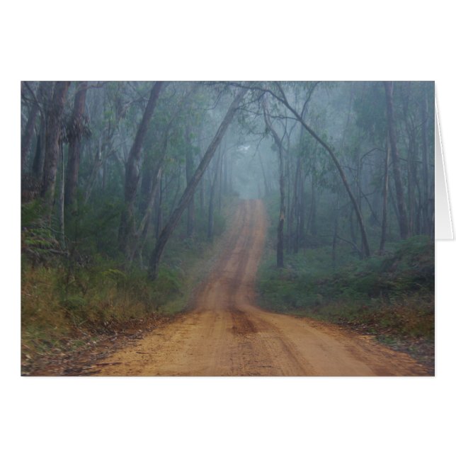 Foggy Trail (Voorkant Horizontaal)