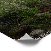 Foggy Trail in the Spring Forest Poster (Hoek)