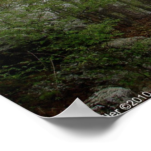 Foggy Trail in the Spring Forest Poster (Hoek)