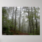 Foggy Trail in the Spring Forest Poster (Voorkant)