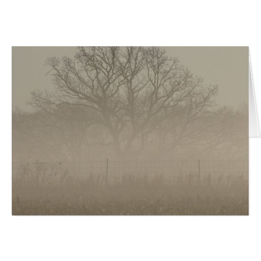 Foggy Tree (Devant horizontal)