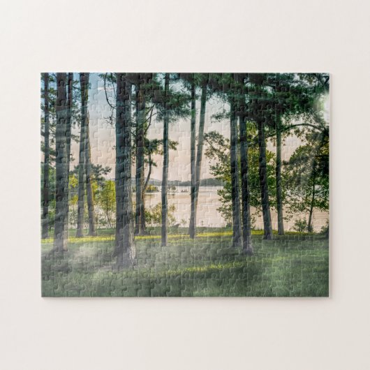 Foggy Trees at Table Rock Legpuzzel (Horizontaal)