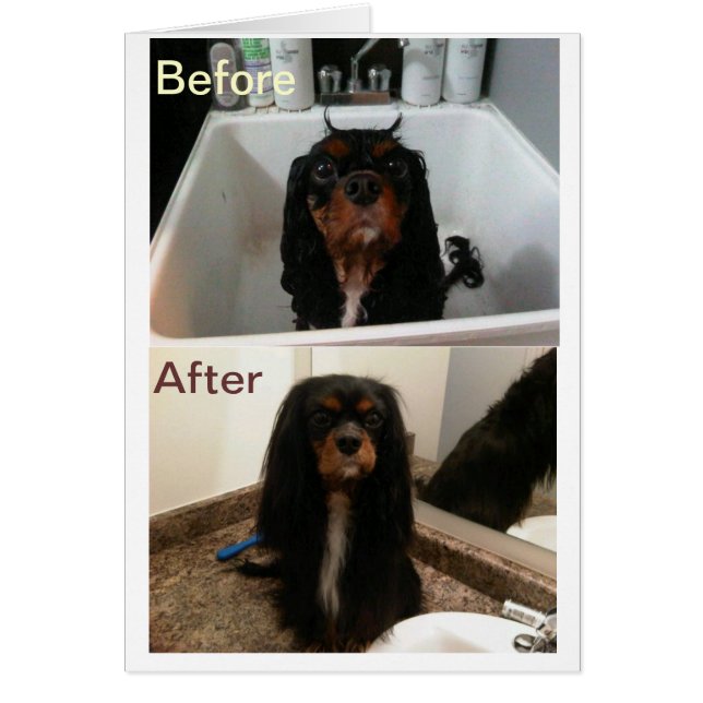 FOI AVANT ET APRÈS (Devant)