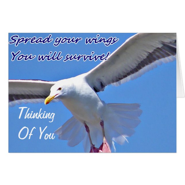 Foi et force_ (Devant Horizontal)