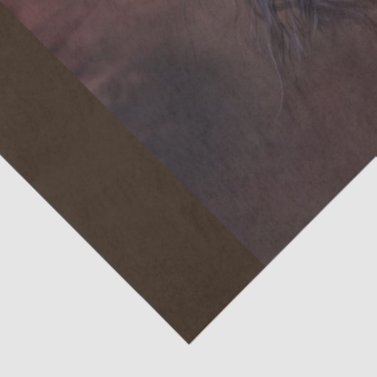 fok- en pootweefselpapier tissuepapier (Detail)