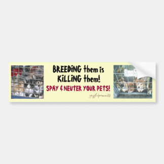 Fokdieren worden gedood bumpersticker