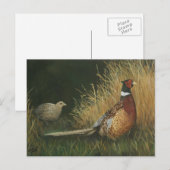 Fokers in het Briefkaart van de velt (Voorkant / Achterkant)