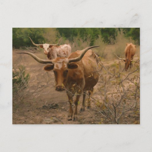 Fokken voor levensmiddelen briefkaart (Voorkant)