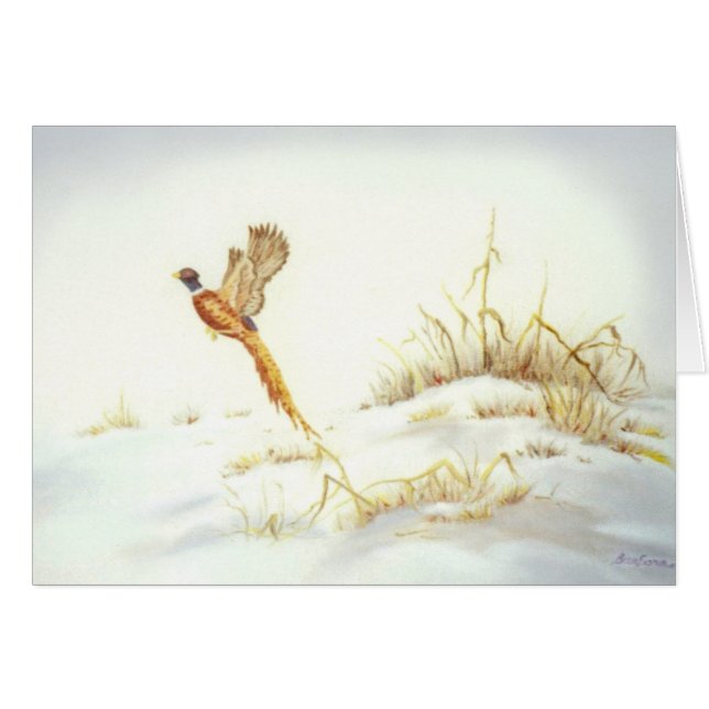 Fokmiddel in het sneeuwlandschap (Voorkant Horizontaal)