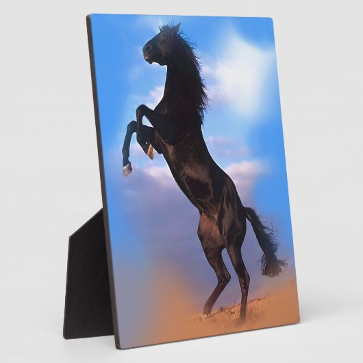 fokpaard fotoplaat (Zijkant)