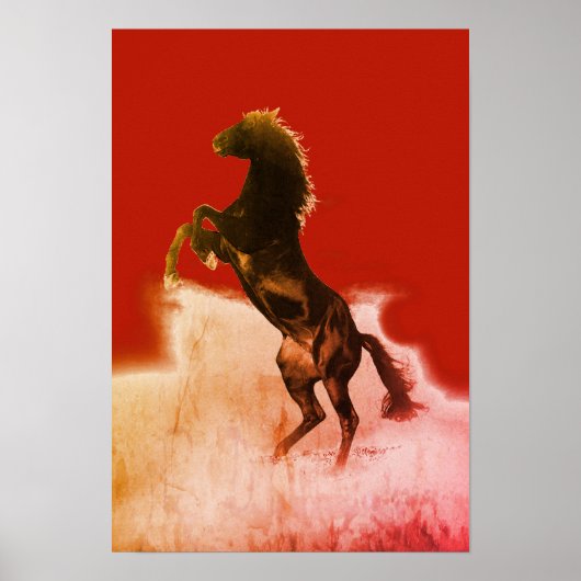 fokpaard poster (Voorkant)