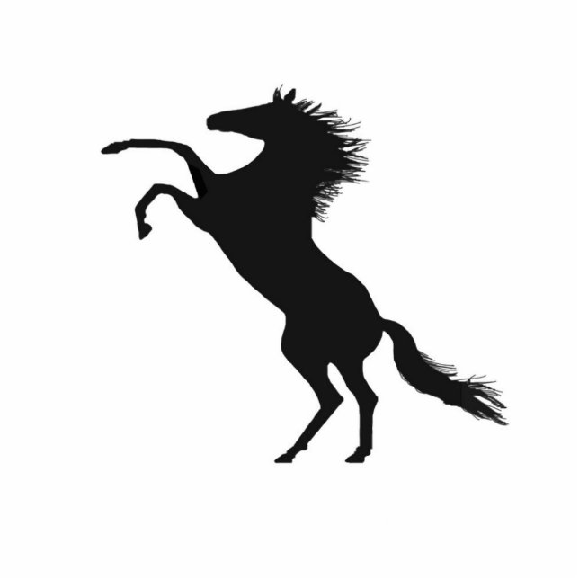 fokpaard staand fotobeeldje  (Voorkant)