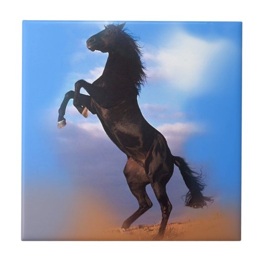 fokpaard tegeltje (Voorkant)