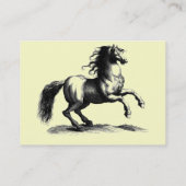 *  fokpaarden * Visitekaartjes (Achterkant)