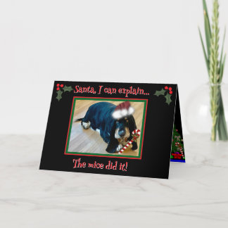 Folded Greeting Card Kaart