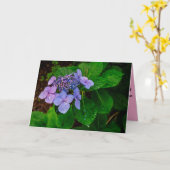 Folded Landscape Sympathy Card Kaart (Gele Bloem)