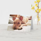 Folded Leon Wenskaart Kaart (Gele Bloem)