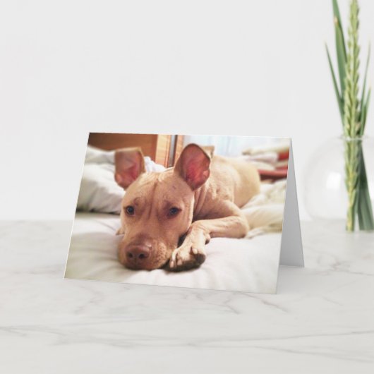 Folded Leon Wenskaart Kaart (Voorkant)