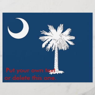 Folder met Vlag van South Carolina, V.S.A. Flyer
