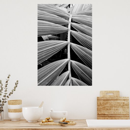 folha de palmeira poster (Keuken)