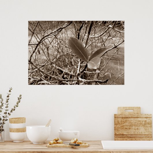 folhas em vida2 poster (Keuken)