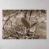 folhas em vida2 poster (Voorkant)