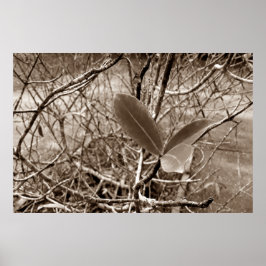 folhas em vida2 poster