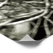 folhas em vida3 poster (Hoek)