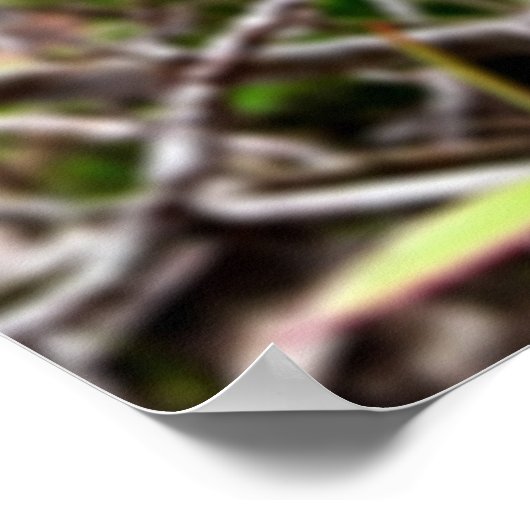 folhas em vida4 poster (Hoek)