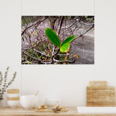 folhas em vida4 poster (Keuken)