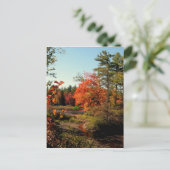 Foliage Seizoen New England Briefkaarten (Staand voorkant)