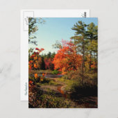 Foliage Seizoen New England Briefkaarten (Voorkant / Achterkant)