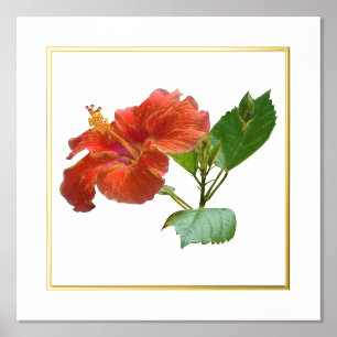 Folie Accent Red Hibiscus Flower Print