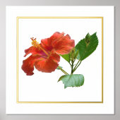 Folie Accent Red Hibiscus Flower Print (Voorkant)