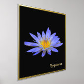 Folie Accent Water Lily Design Print Poster Art (Laagn)