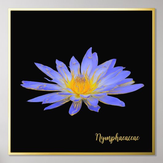 Folie Accent Water Lily Design Print Poster Art (Voorkant)