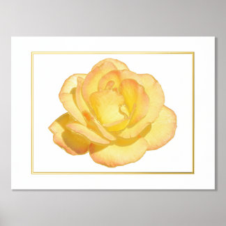 Folie Acent Yellow Rose Print Poster