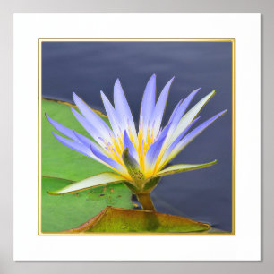 Folie Actief gele en lavender Water Lily Print