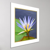 Folie Actief gele en lavender Water Lily Print (Laagn)