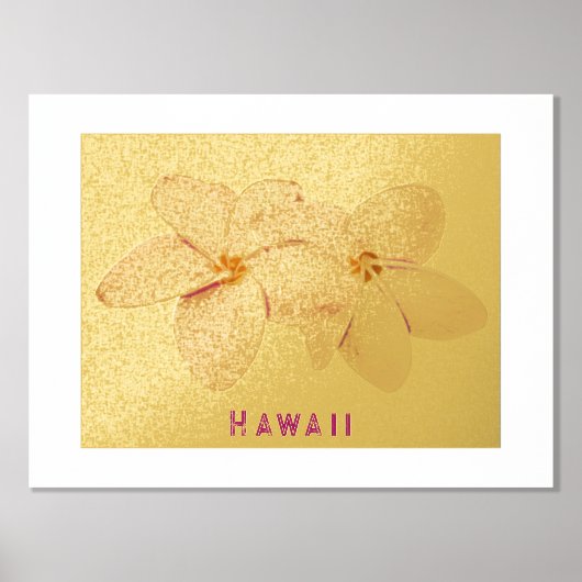 Folie Hawaii Plumeria Flower Print (Voorkant)